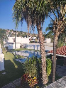 Morelos的住宿－Casa cerca de ex hacienda temixco，两棵棕榈树,位于带游泳池的院子内
