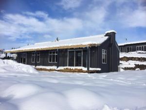 D'Archiac Cottage - Lake Tekapo v zimě