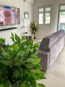 a living room with a couch and a plant at Savanna Sky in Fort-de-France