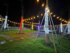 a group of trees with christmas lights on them at Whispering waves beachfront villa in Tiến Thành