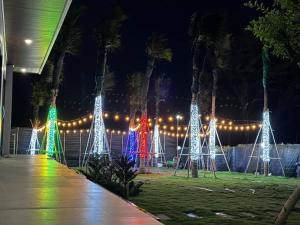 a group of palm trees with christmas lights at Whispering waves beachfront villa in Tiến Thành +17 photos