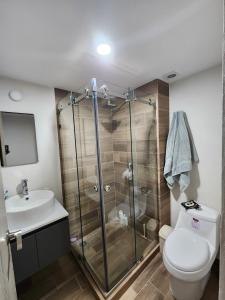 a bathroom with a shower and a toilet and a sink at Habitacion en Departamento Compartido in Mexico City