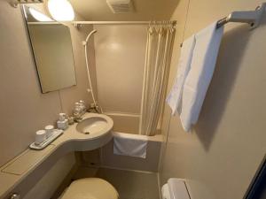 a bathroom with a sink and a toilet and a mirror at マウンテンリゾート・マルガンタ Marganta in Madarao Kogen