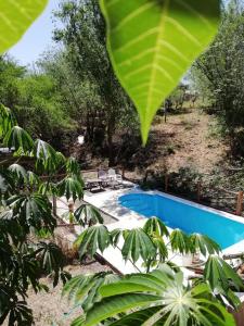 une piscine dans un jardin avec une grande feuille dans l'établissement Cabañas Ezequiel, à Villa Carlos Paz