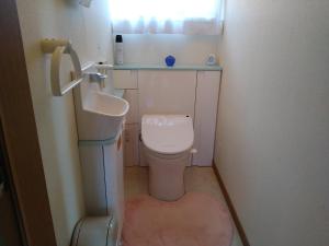 La petite salle de bains est pourvue d'un lavabo et de toilettes. dans l'établissement Kagawagun - House - Vacation STAY 01716v, à Naoshima
