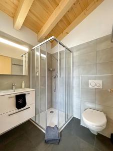 een badkamer met een douche, een toilet en een wastafel bij My Mountain Paradise - Swiss Alps in Rechy