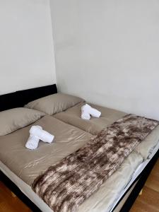 ウィーンにあるLuxus Apartmentの枕2つが備わるドミトリールームのベッド1台分です。