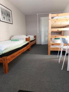にあるPurku Keskusの二段ベッド2組とはしごが備わる客室です。