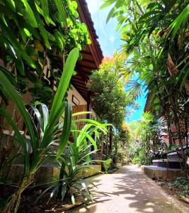 ウブドにあるYessi Houseの植物の家の前の小道