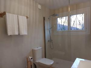 a bathroom with a shower and a toilet and a window at Le Chalet des O in Saint-Lary-Soulan