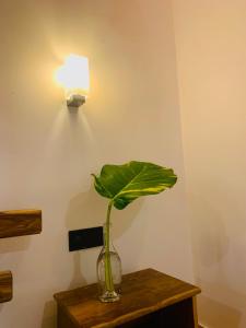 Fotografie z fotogalerie ubytování Breeze Bay Villa v destinaci Dikwella