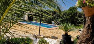 a swimming pool in a garden with a palm tree at Cortijo Rodeo. Alojamiento Rural in Carcabuey