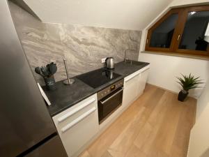 eine Küche mit einer Spüle und einer Arbeitsplatte in der Unterkunft Appartement am Kaibach in Forchtenberg