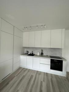 Kuchyň nebo kuchyňský kout v ubytování Ein Park Apartment with free parking + 10 fotografií