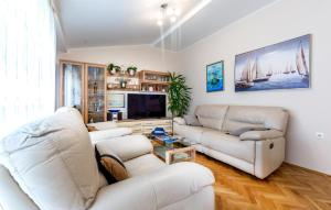 Televízia a/alebo spoločenská miestnosť v ubytovaní Apartment Raduniceva V