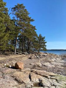 a rock on a beach with trees and water at Topsala Seaside in Houtskari