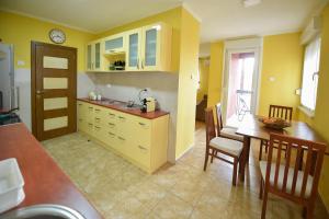 Kuchyň nebo kuchyňský kout v ubytování Apartman Odzaci