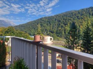 two coffee cups sitting on top of a balcony at Anastasia Luxury Apartment in Sinaia