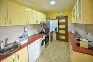 a kitchen with a sink and a washing machine at Apartman Odzaci in Odžaci