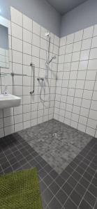 a bathroom with a shower and a sink at Mastersuite in Bad Salzuflen