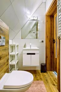 uma casa de banho com um lavatório branco e um WC. em Domki Magia Gór-nocleg obok Term em Szaflary
