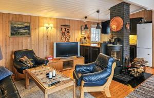 un soggiorno con 2 sedie in pelle e una TV di 3 Bedroom Stunning Home In Uvdal a Uvdal