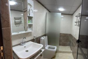 瓦迪拉姆Queen's Magic Camp的浴室里有洗手池、马桶和淋浴。 更多62张照片