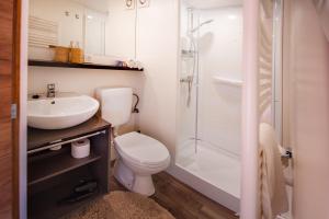 a bathroom with a toilet and a sink and a shower at ForRest Glamping in Banská Štiavnica