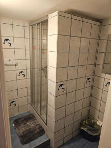 Vannituba majutusasutuses Gasthaus Hinterbrühl