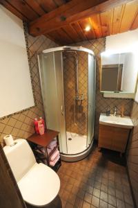 a bathroom with a shower and a toilet and a sink at Karčema Ružava 