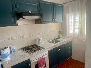 a kitchen with green cabinets and a sink at Casa Azul in Vallehermoso