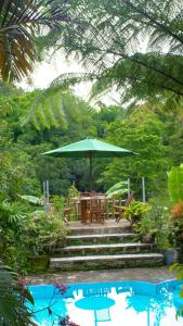 a patio with a table and an umbrella next to a pool at Goa Walet Cottage in Praya