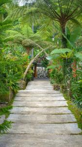 un chemin en pierre dans un jardin avec des arbres et des plantes dans l'établissement Goa Walet Cottage, à Praya