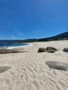 un grupo de elefantes tirados en la arena en una playa en CASA Beirada Monte y Playa, en Carnota