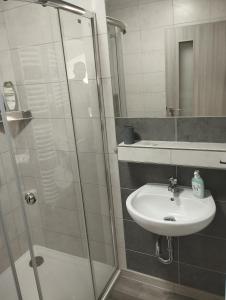 a bathroom with a sink and a shower at Apartmán na Vyhlídce in Šumperk