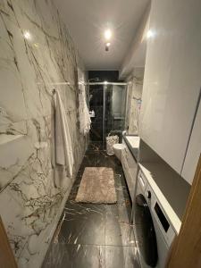 y baño con ducha, aseo y lavamanos. en Apartament Szary 14/2 en Starogard Gdański
