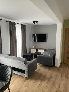 sala de estar con sofá y TV de pantalla plana en Apartament Szary 14/2 en Starogard Gdański