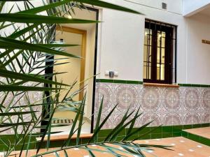 een voordeur van een huis met een plant bij Suite El Geranio in Córdoba