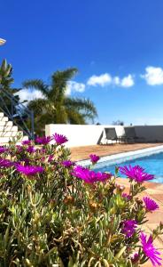 ein Busch mit lila Blumen neben einem Pool in der Unterkunft Boutique Hotel Maravilla - Marbella in Benahavís
