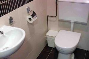 ein Badezimmer mit einer weißen Toilette und einem Waschbecken in der Unterkunft Finse bungalow max 5 volwassenen + 3 kinderen in Otterlo + 21 Fotos