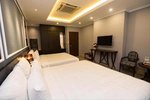 TV a/nebo společenská místnost v ubytování Skylark Boutique Hotel