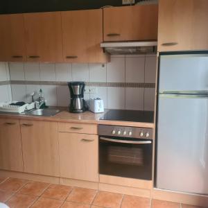 Kuchyň nebo kuchyňský kout v ubytování Haus Dithmarschen