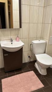 een badkamer met een toilet en een wastafel bij Mammaste Apartment in Mammaste