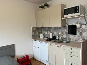 una pequeña cocina con fregadero y microondas en Apartament Słodowiec, en Varsovia