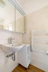 een badkamer met een wastafel en een spiegel bij Bed and Breakfast Špelca in Pivka
