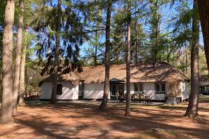 a house in the woods with a group of trees at Familiehuis de Lariks - 12 persoons villa op de Veluwe in Otterlo