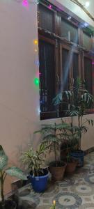 a room with potted plants and a window with christmas lights at Guru Kripa Guest House ( Home Stay ) in Ayodhya