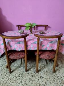 einem Tisch mit zwei Stühlen und einer Pflanze darauf in der Unterkunft Ashiyana in Bhubaneshwar