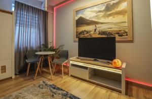 A television and/or entertainment centre at Apartamenty Ty i Ja