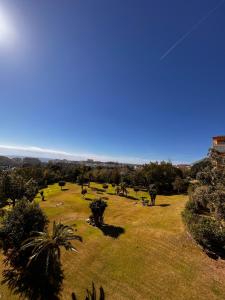 a green field with trees and a kite in the sky at Aparthotel Minerva in Benalmádena